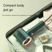 Mini Portable Steamer By Ferier